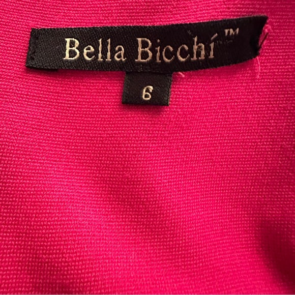 Pre - Loved Bella Bacchi Fuchsia Pleated Cap Sleeve Sheath Dress – Size 6