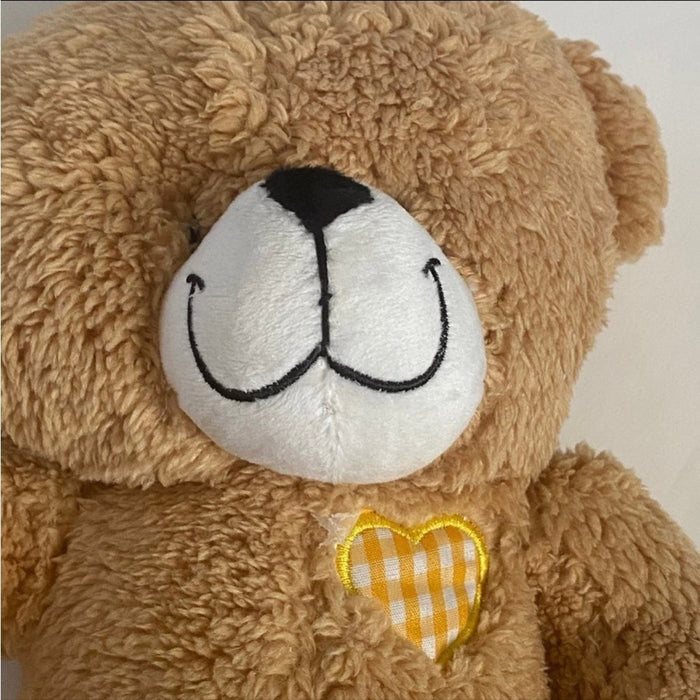 Cuddle Bear Teddy Plush Tan Stuffed Animal Kane Miller Little Tiger