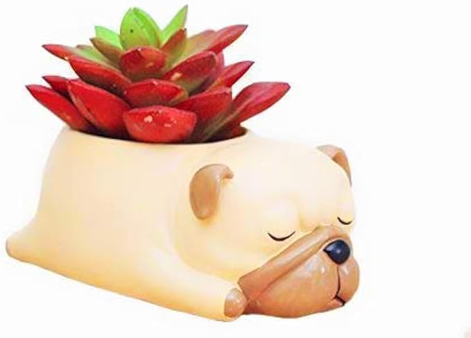 Pug Planter