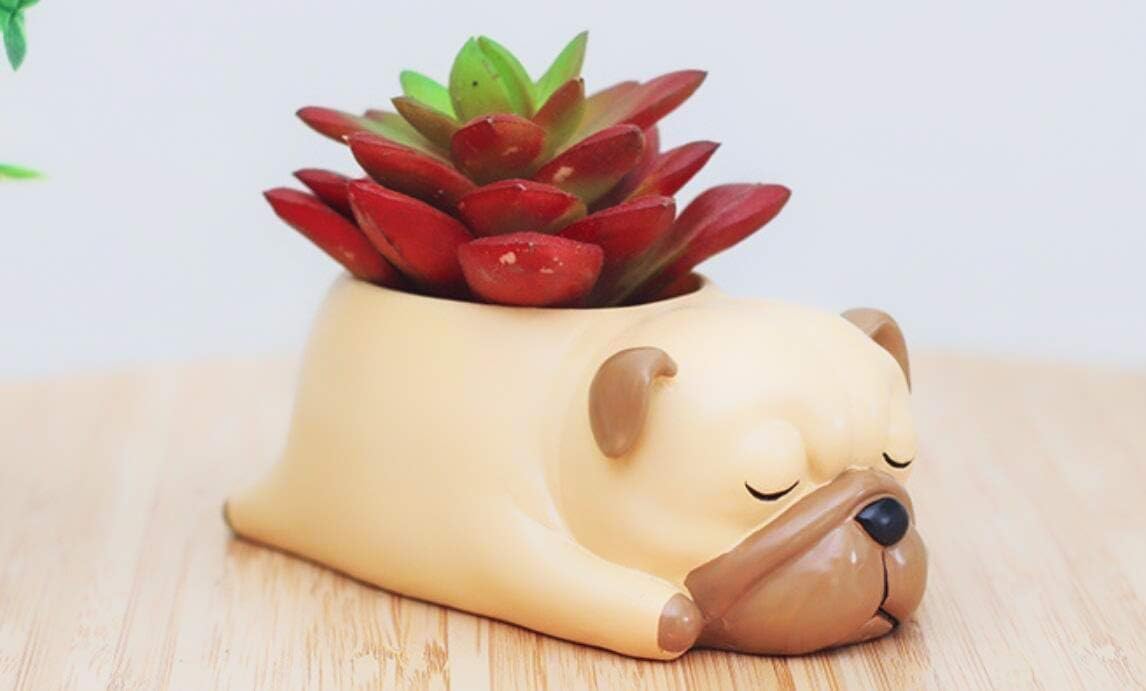 Pug Planter