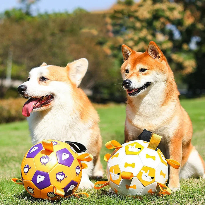 Interactive Dog Football Toy  Chew & Teething Ball for Outdoor Fun