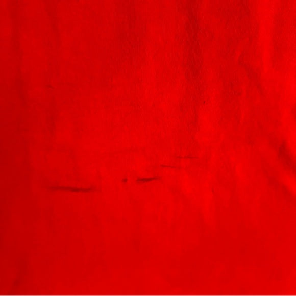 Vintage Fruit of the Loom Graphic Crew Neck Short Sleeve T-Shirt - Size Men’s XXL , from PanacheProse