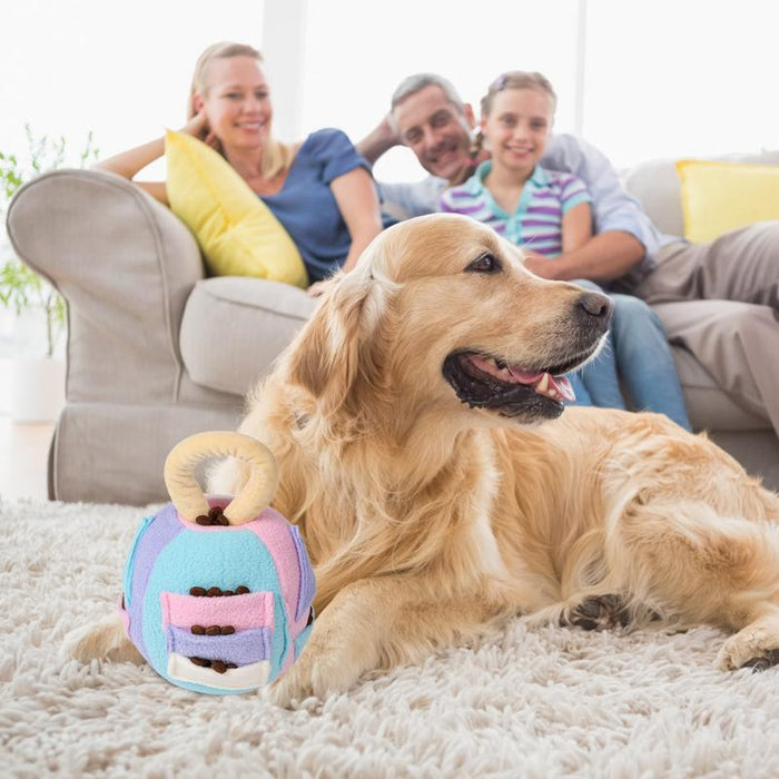 Interactive Squeaky Plush Dog Ball  Chew & Treat Toy