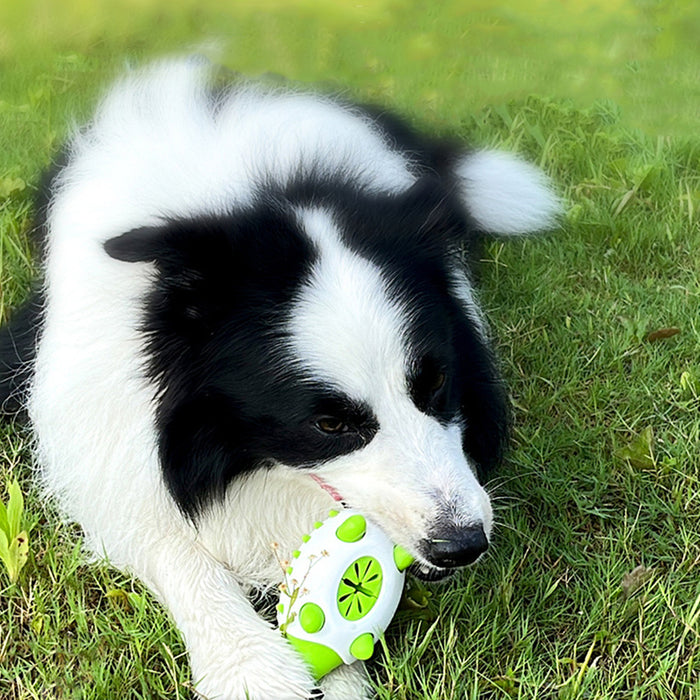 Interactive Dental Chew Toy for Dogs & Cats – Fun & Food Dispensing