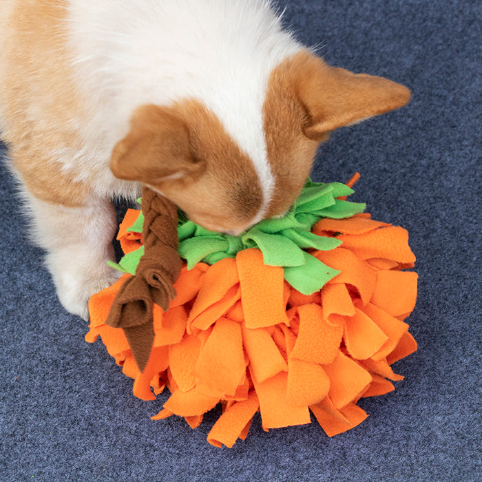 Handmade Pumpkin Snuffle Ball for Interactive Play  Perfect for Small to Medium Dogs