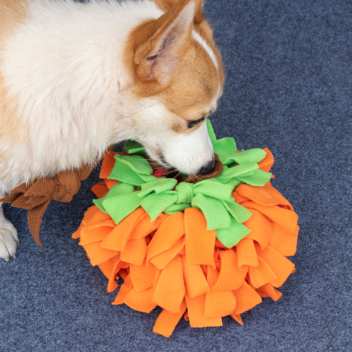 Handmade Pumpkin Snuffle Ball for Interactive Play  Perfect for Small to Medium Dogs