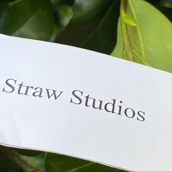 Straw Studios Women’s Blue Multi Straw Tote